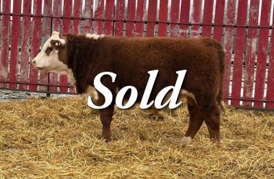 CRNL RETURN NATIONWIDE 35N