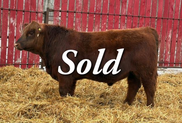 red crnl reckoning nestor 48n