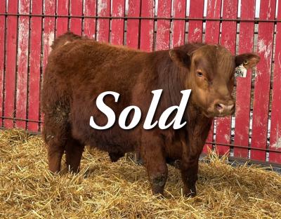 RED CRNL ENERGIZE NEUTRON 9N