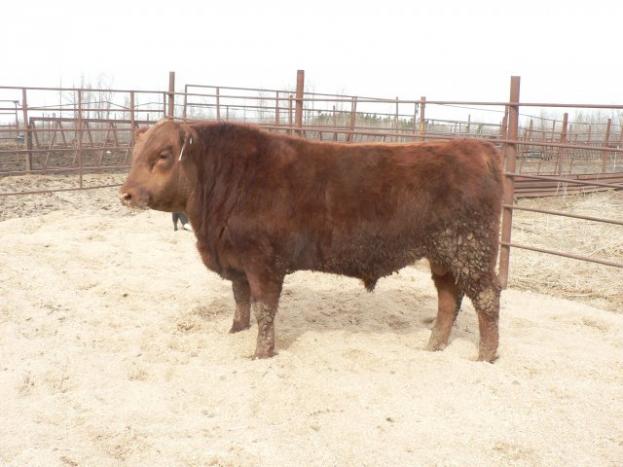 red crnl 58a drake 32d